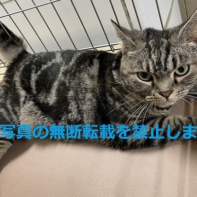 久留米市動物管理センター 3019