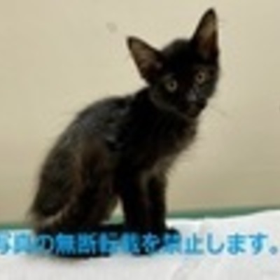 久留米市動物管理センター 3021