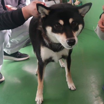 東部動物愛護管理センター d1535