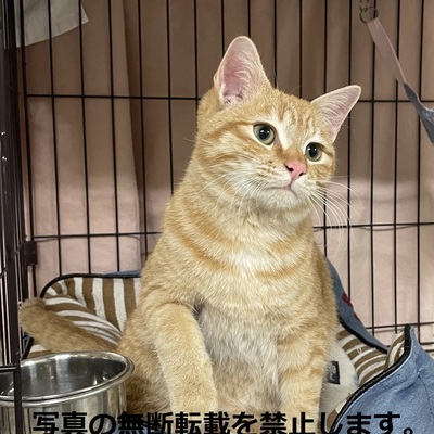 久留米市動物管理センター 3037