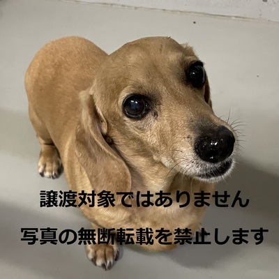 久留米市動物管理センター 003