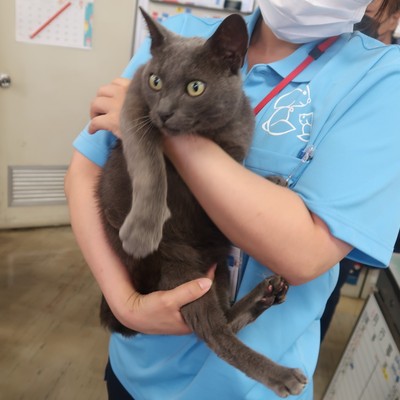 東部動物愛護管理センター c3943