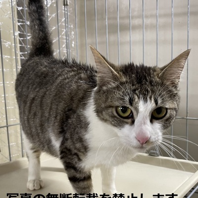 久留米市動物管理センター 008