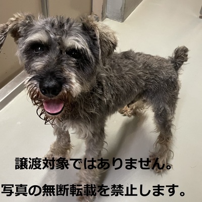 久留米市動物管理センター 009