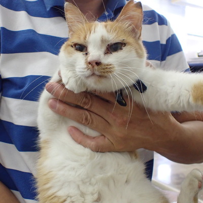 東部動物愛護管理センター c3978