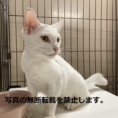 久留米市動物管理センター 012