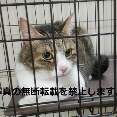 久留米市動物管理センター 013