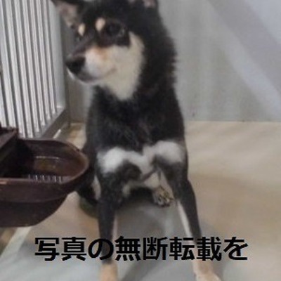 久留米市動物管理センター 014