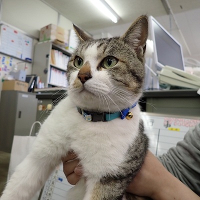 東部動物愛護管理センター c4145