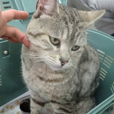 東部動物愛護管理センターc4254