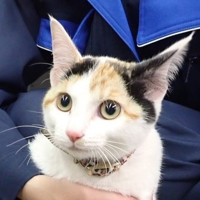 東部動物愛護管理センター c4503