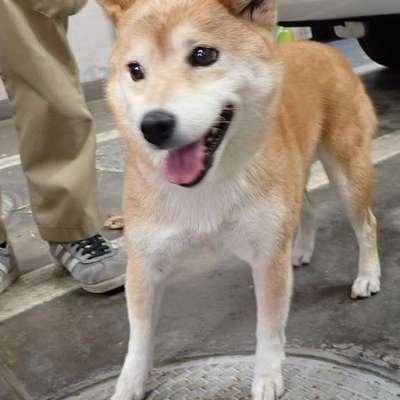 東部動物愛護管理センターd1812
