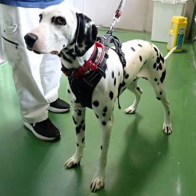 東部動物愛護管理センターd1817