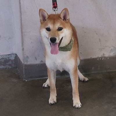 東部動物愛護管理センターd1821