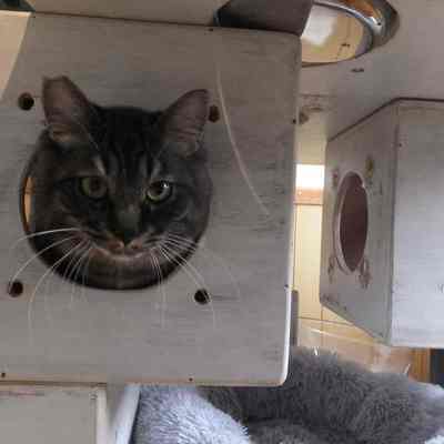 東部動物愛護管理センターc4750