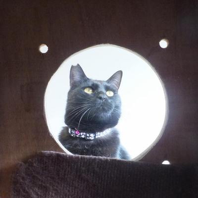 東部動物愛護管理センターc4801