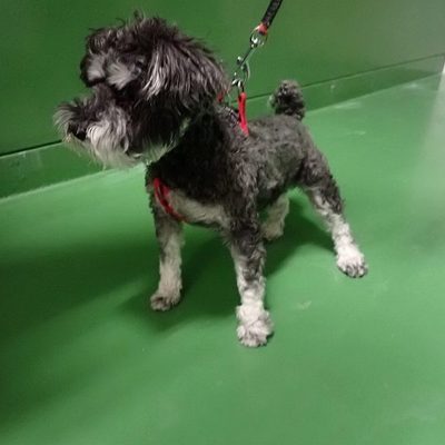 東部動物愛護管理センターd1837