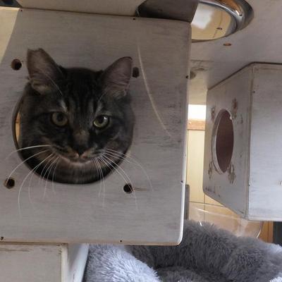 東部動物愛護管理センターc4750