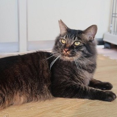 東部動物愛護管理センターc4862