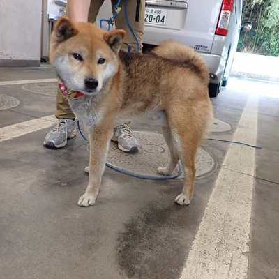 東部動物愛護管理センターd1841